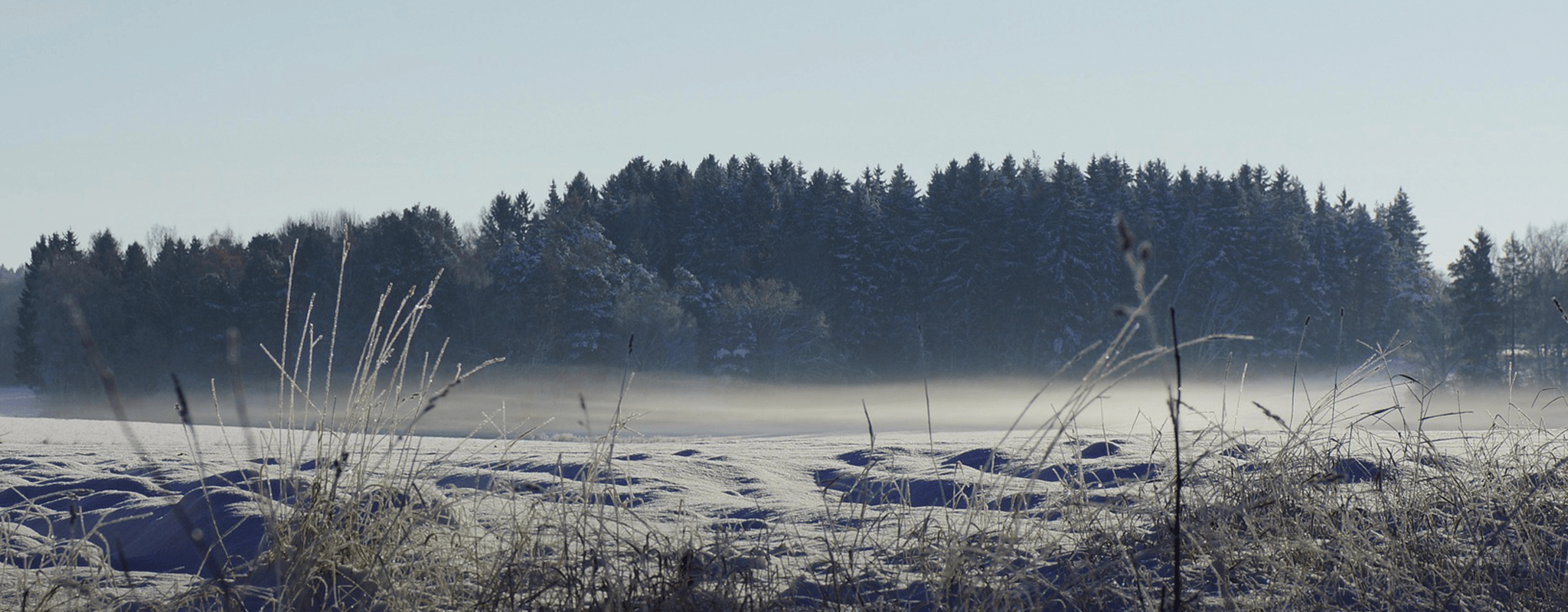 Frost i januari