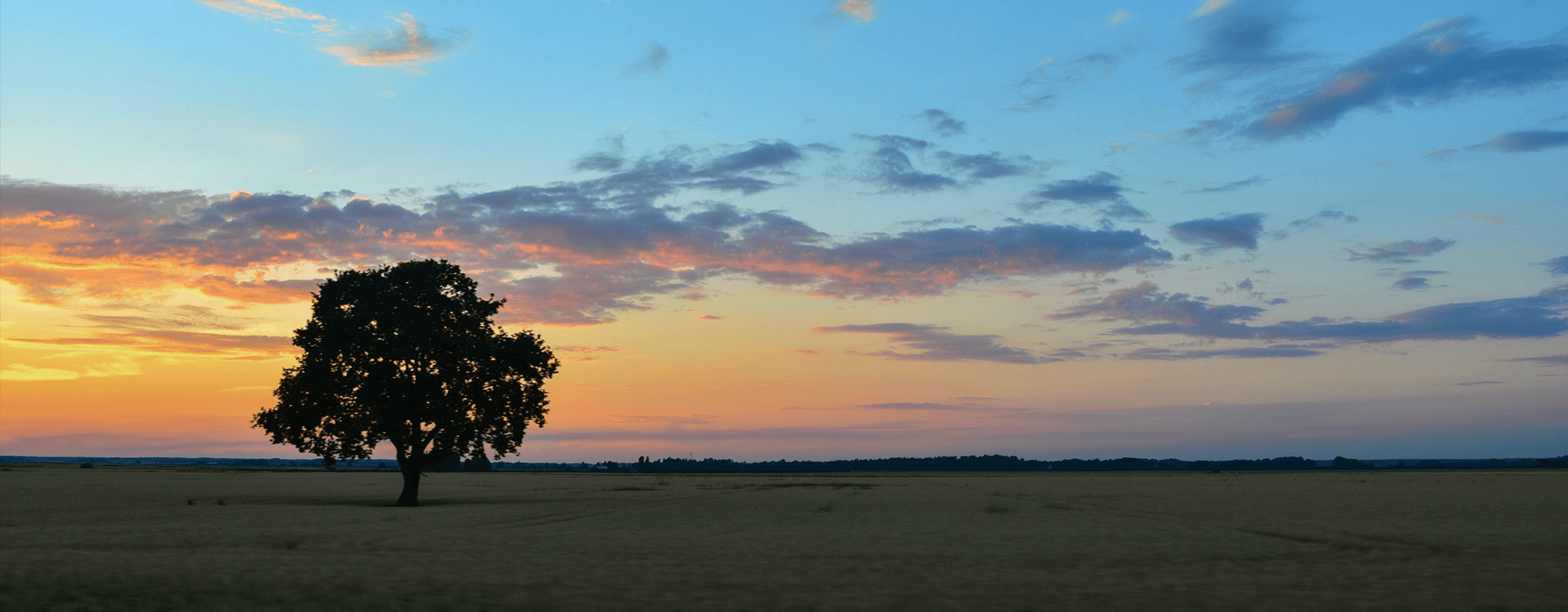 Kväll i maj, landskapsbild