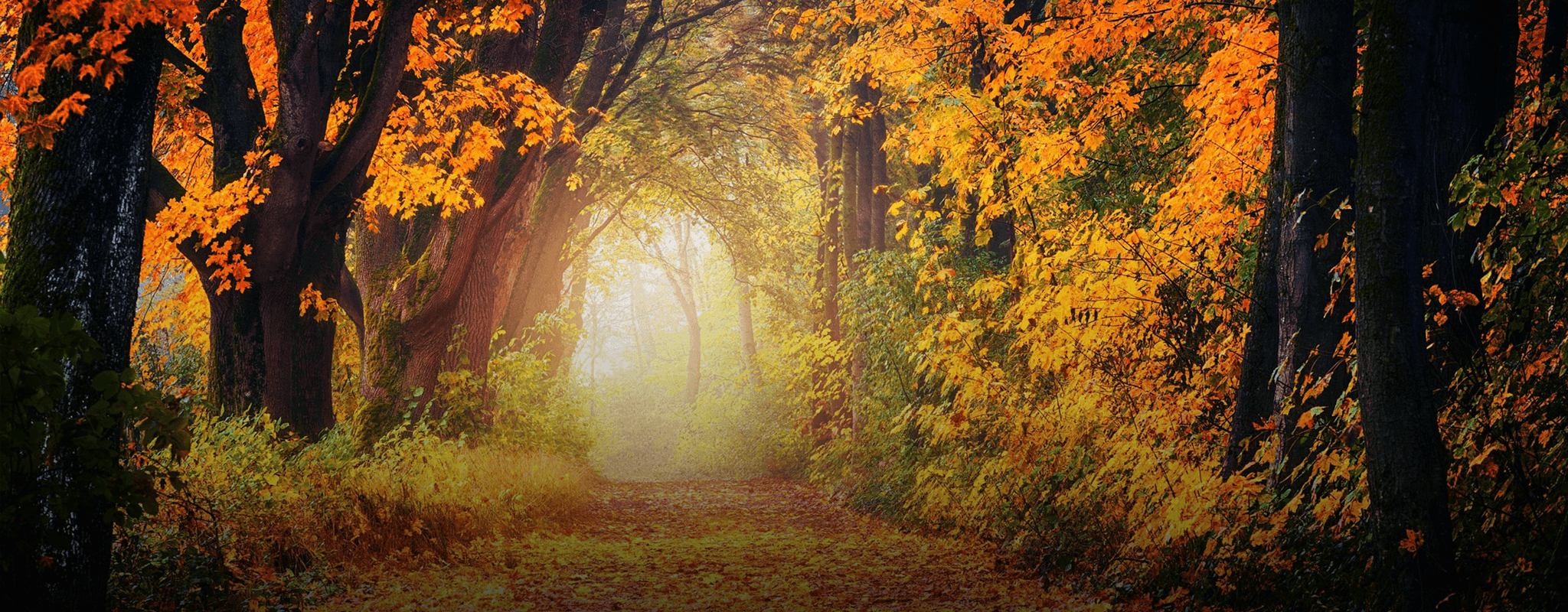 höstbild i oktober