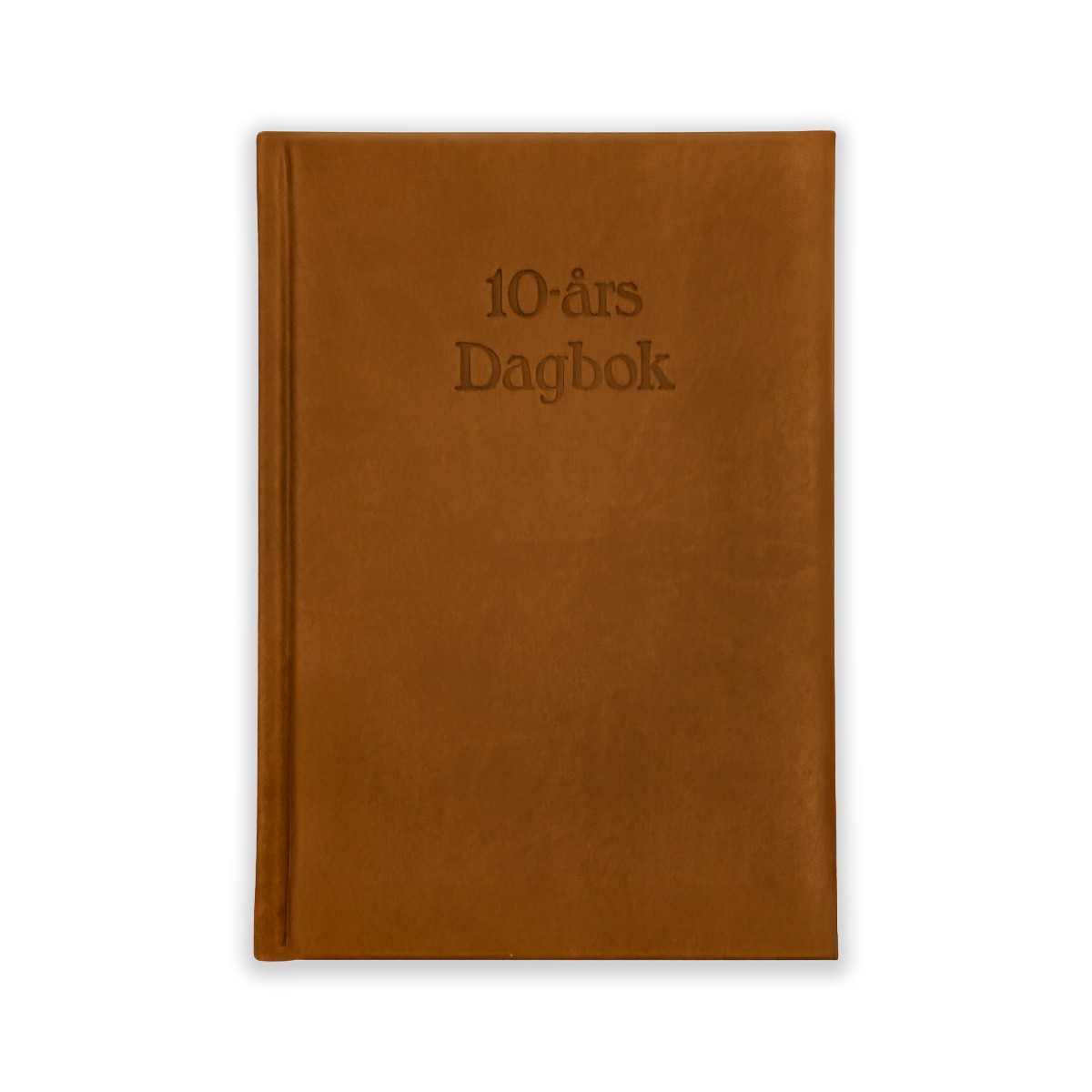 Dagbok 10 år Brun