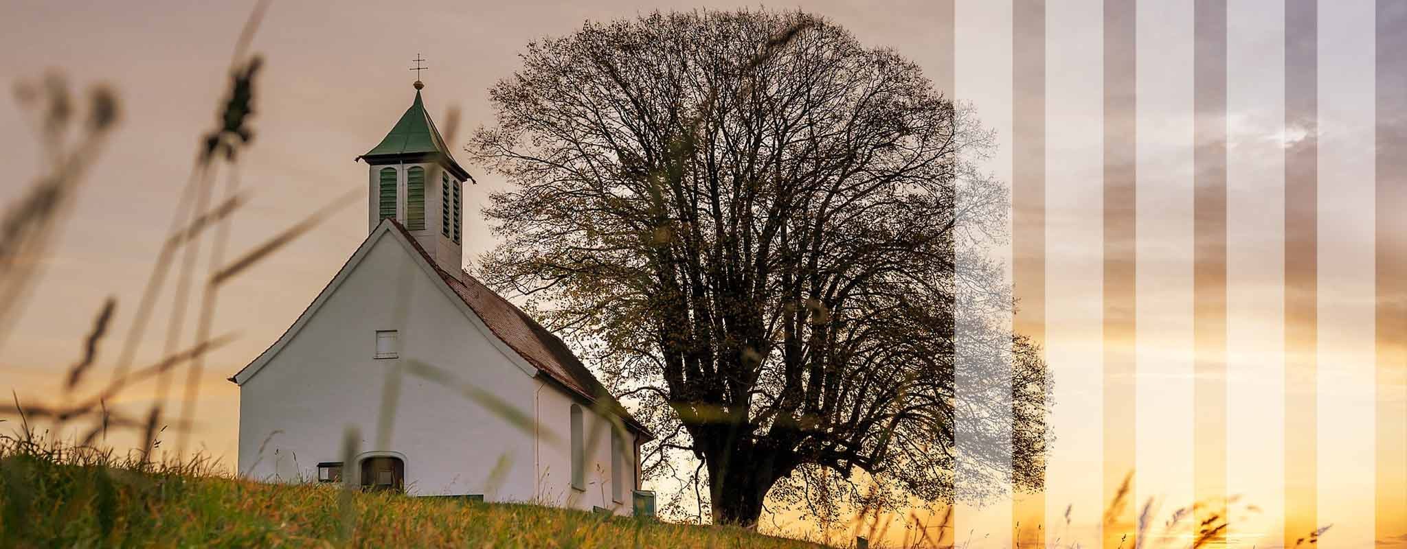 Kristi förklarings dag