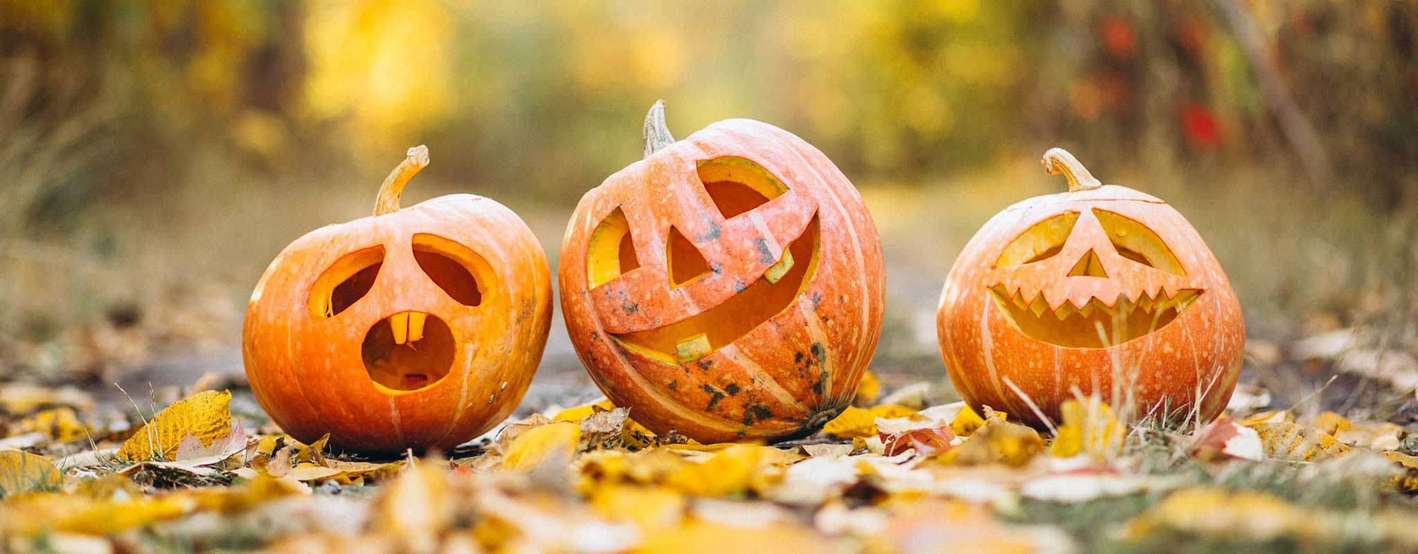 Temadagar i oktober Temadagar i oktober