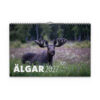 Väggkalender Älgar 2027