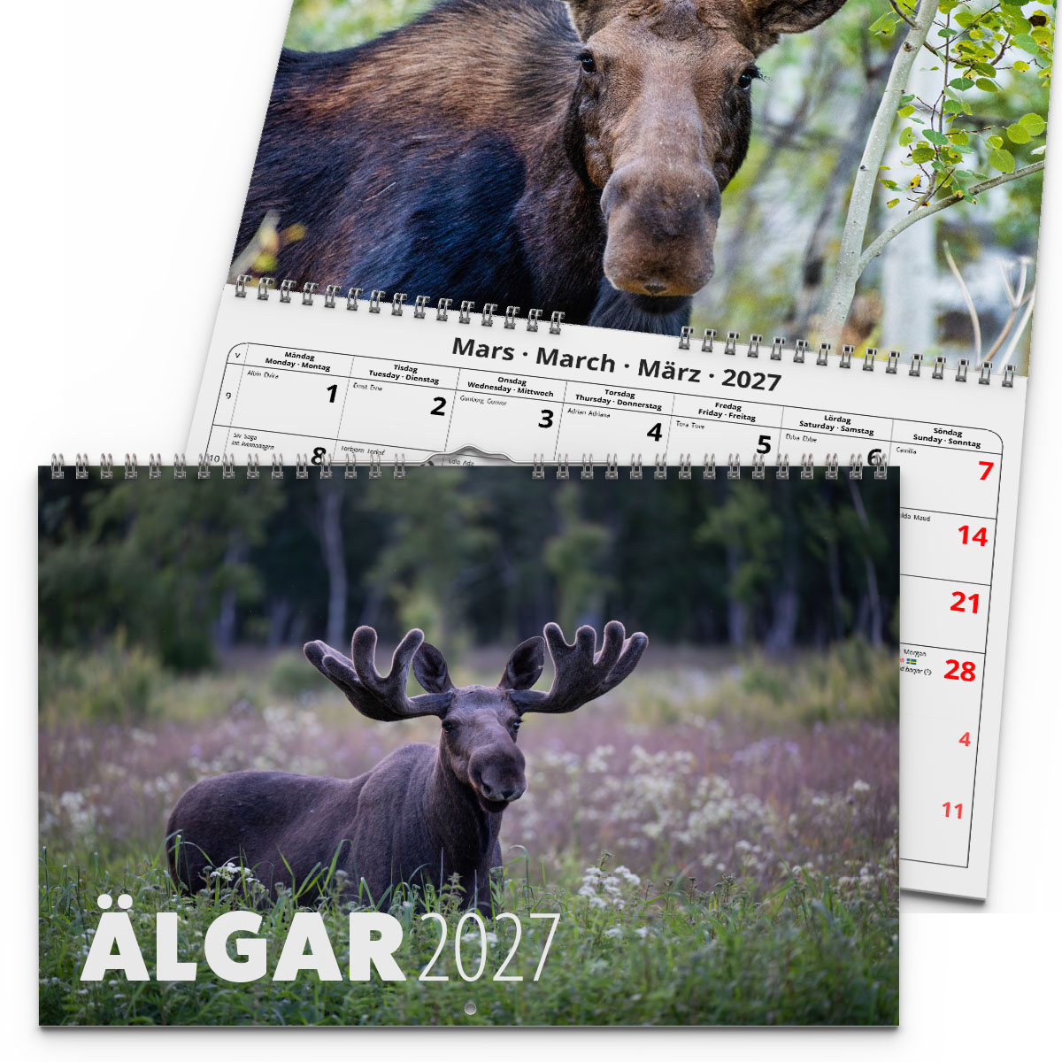 Väggkalender Älgar 2027 2