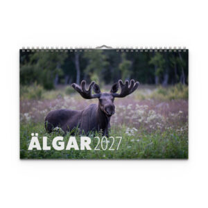 Väggkalender Älgar 2027