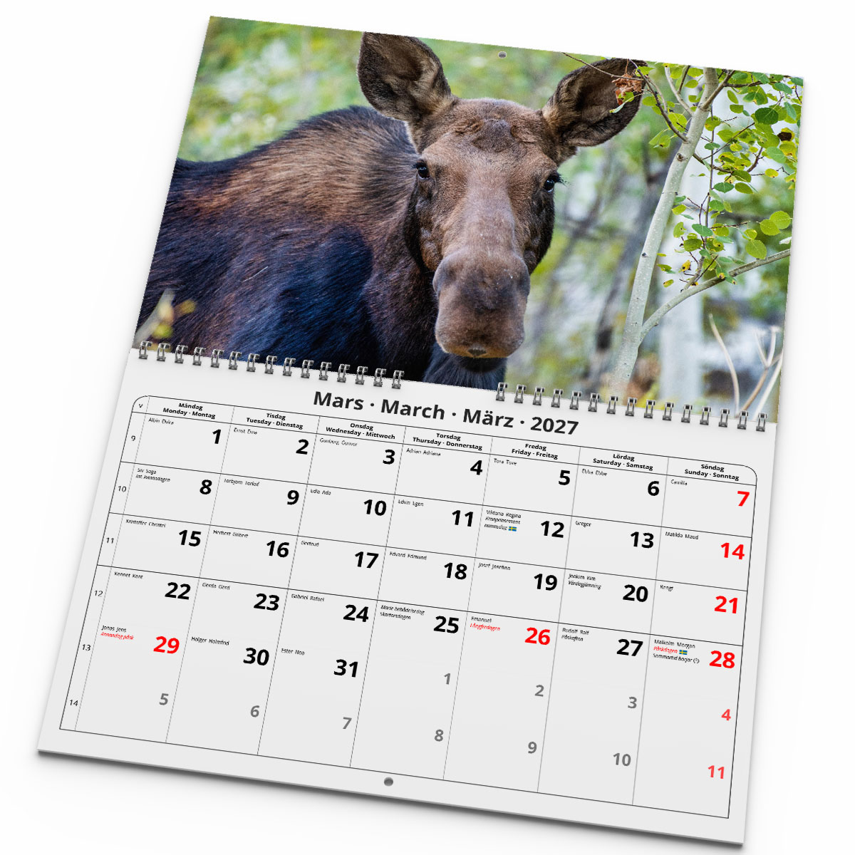 Väggkalender Älgar 2027 uppslag
