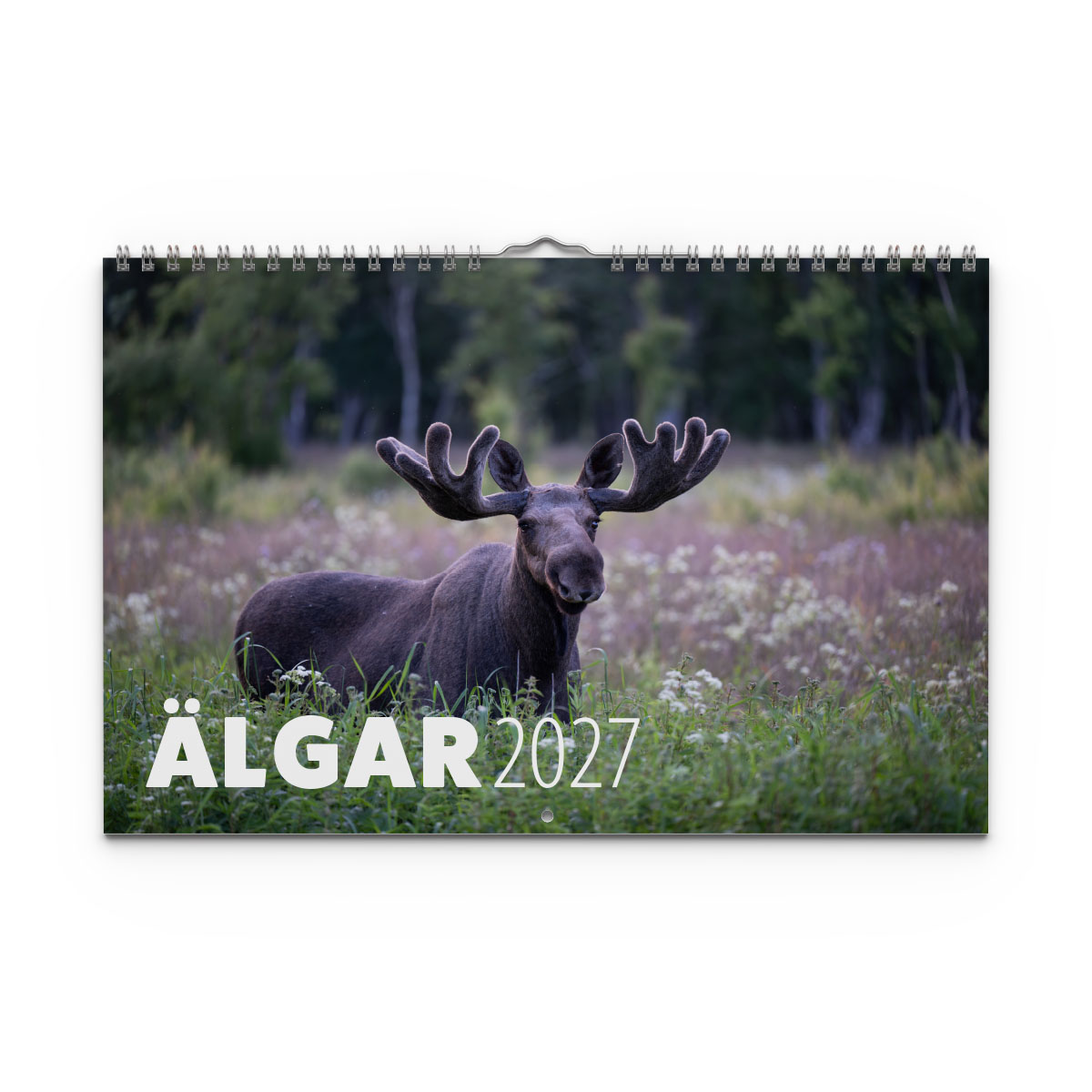 Väggkalender Älgar 2027
