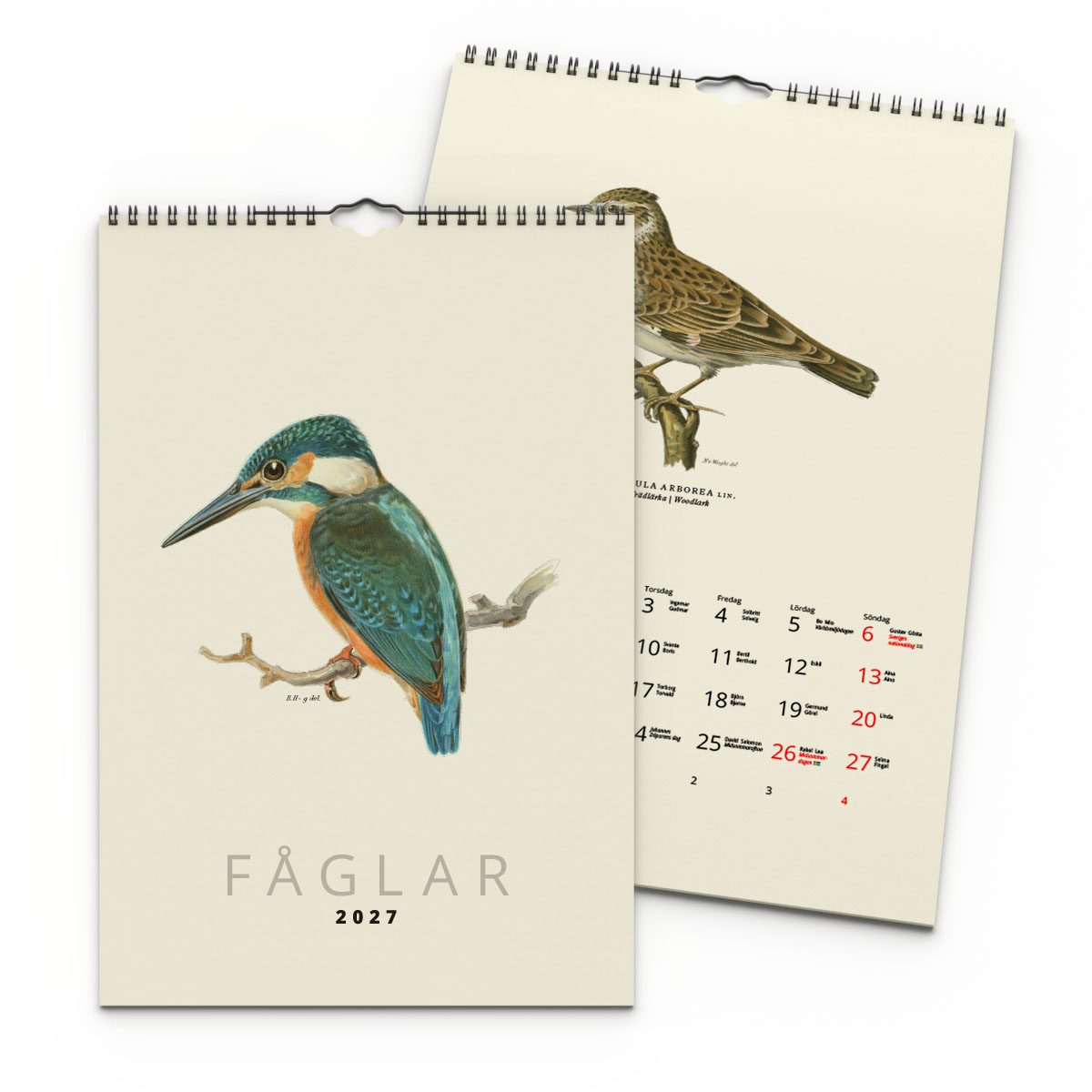 Väggkalender Fåglar 2027 2
