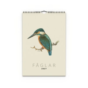 Väggkalender Fåglar 2027