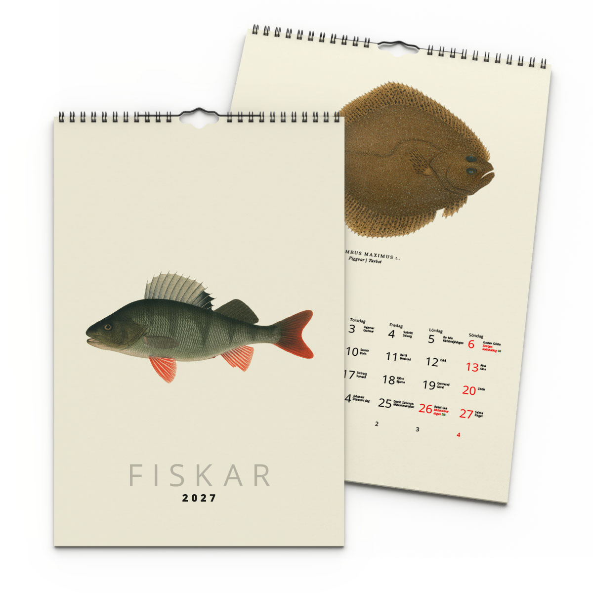 Väggkalender Fiskar 2027 2