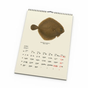 Väggkalender Fiskar 2027 uppslag