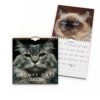 Väggkalender Grumpy Cats Mini 2027 2