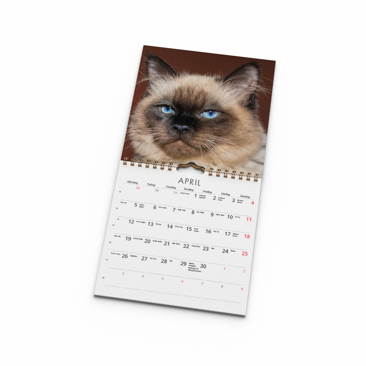Väggkalender Grumpy Cats Mini 2027 uppslag