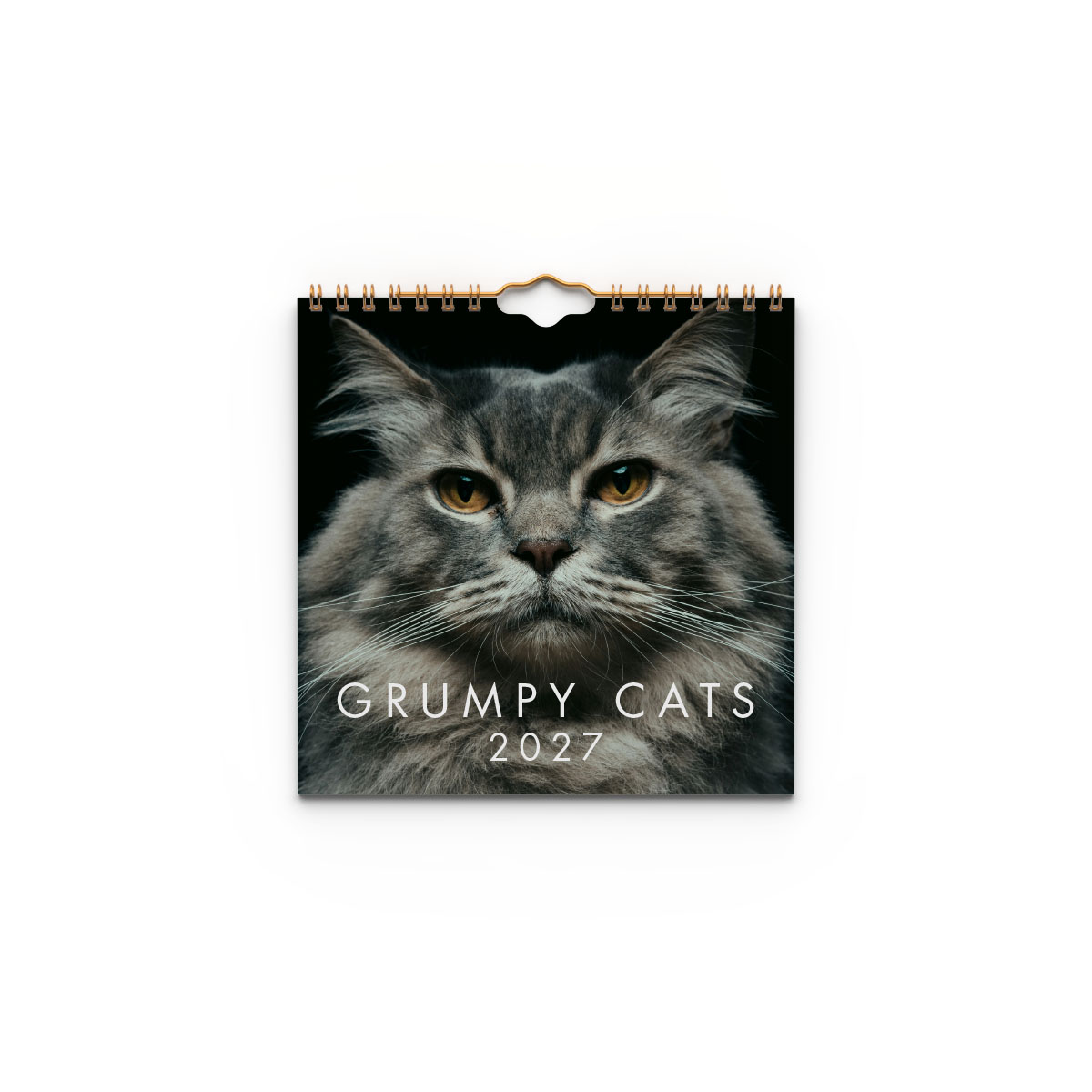 Väggkalender Grumpy Cats Mini 2027