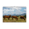 Väggkalender Hästar Medium 2027
