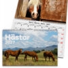 Väggkalender Hästar Medium 2027 2