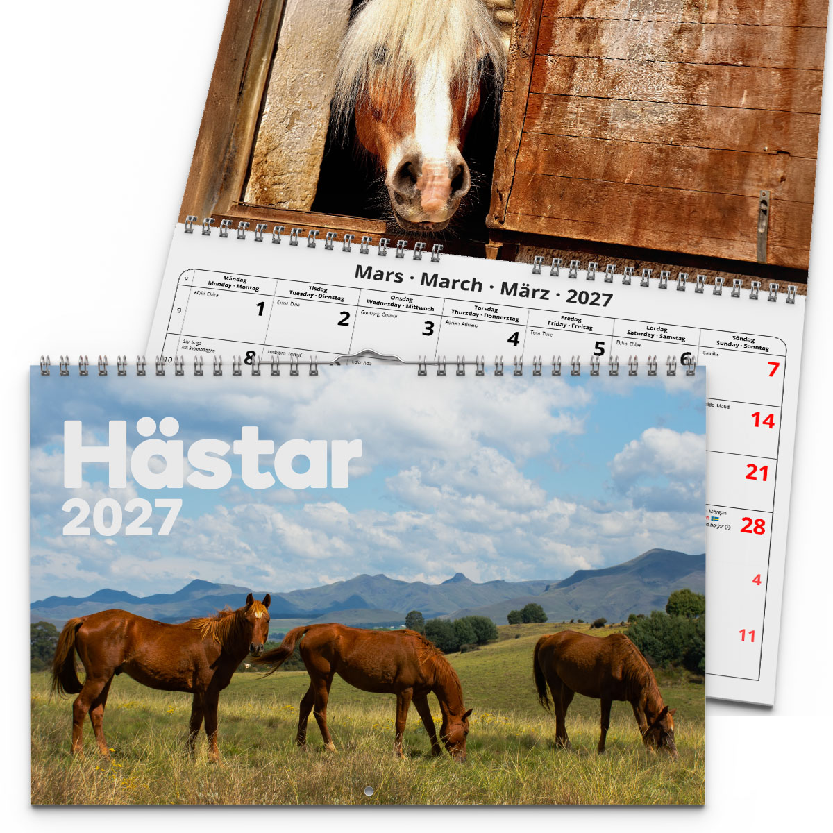 Väggkalender Hästar Medium 2027 2