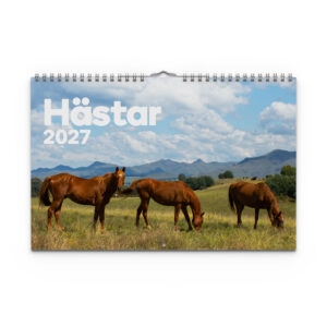 Väggkalender Hästar Medium 2027