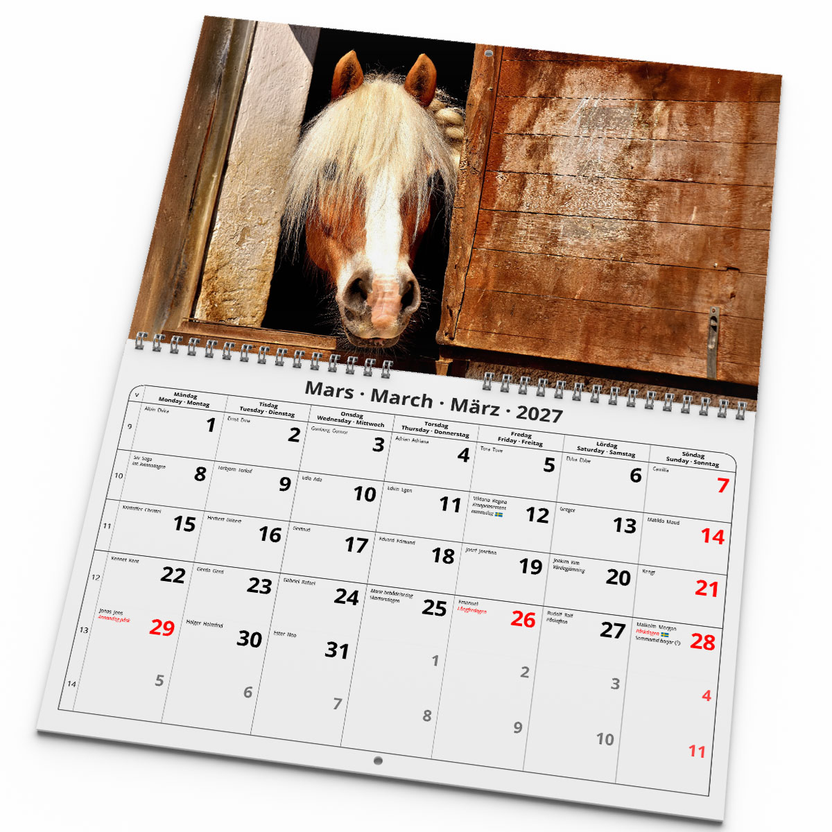Väggkalender Hästar Medium 2027 uppslag
