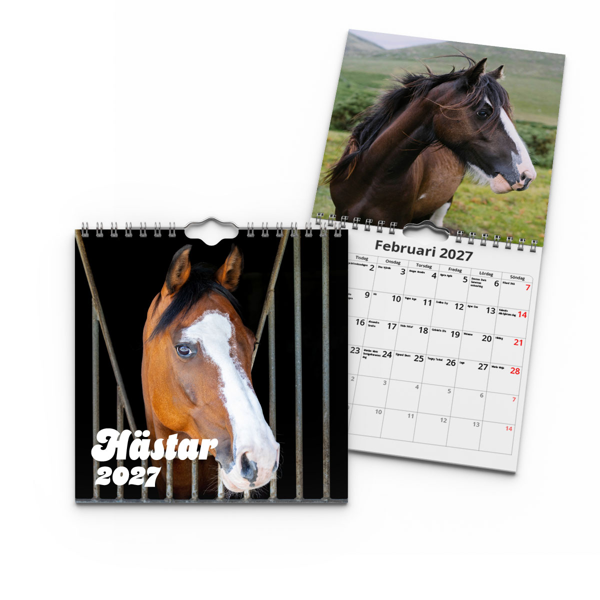 Väggkalender Hästar Mini 2027 2