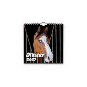 Väggkalender Hästar Mini 2027