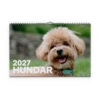 Väggkalender Hundar Medium 2027