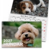 Väggkalender Hundar Medium 2027 2