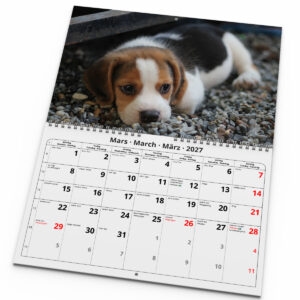 Väggkalender Hundar Medium 2027 uppslag