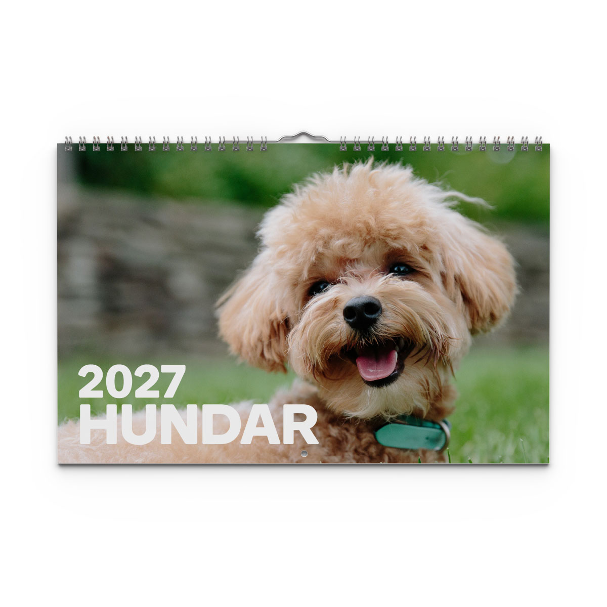 Väggkalender Hundar Medium 2027