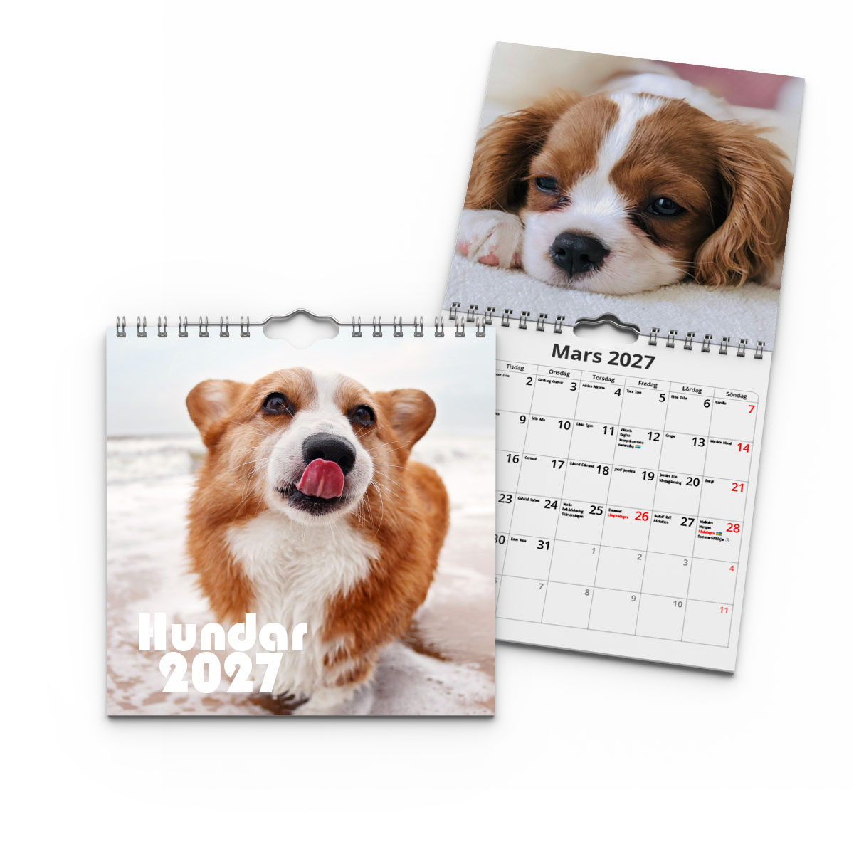 Väggkalender Hundar Mini 2027 2