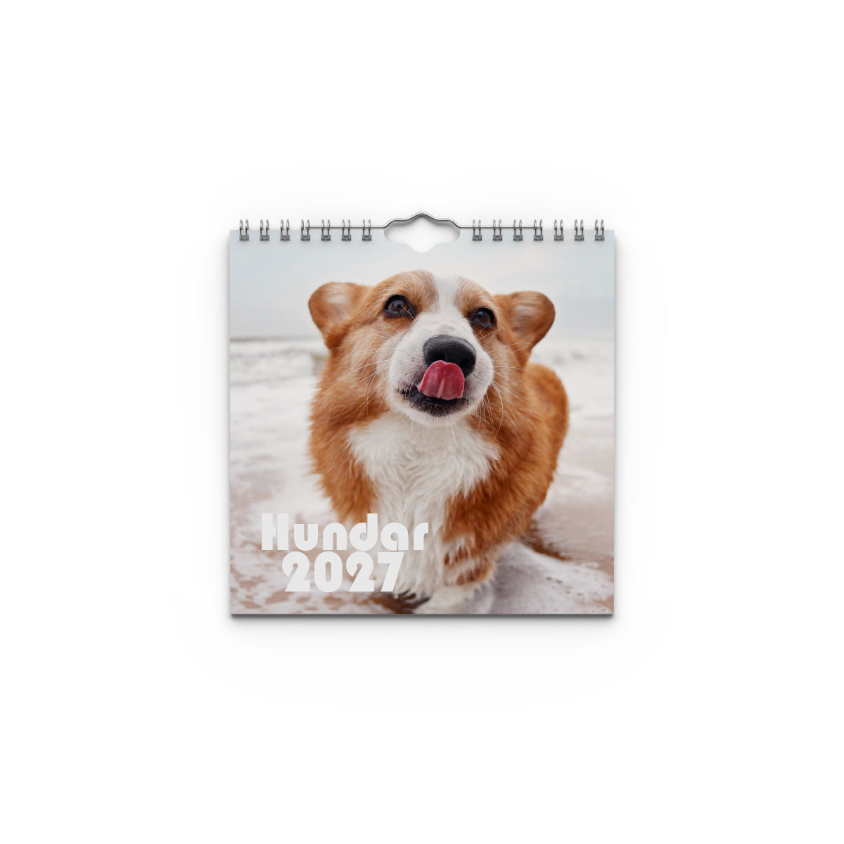 Väggkalender Hundar Mini 2027