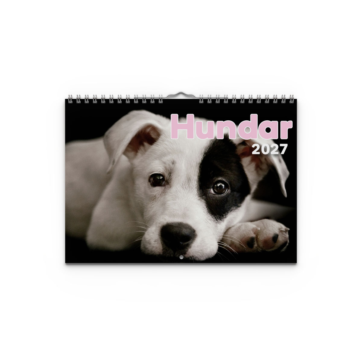 Väggkalender Hundar Small 2027