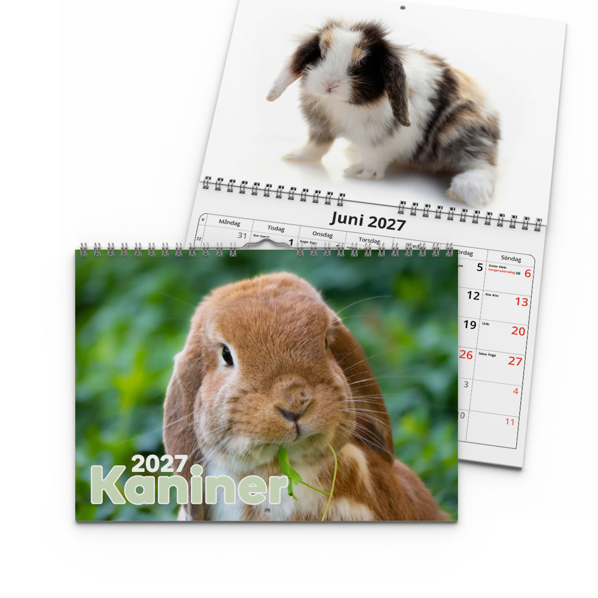 Väggkalender Kaniner Small 2027 2