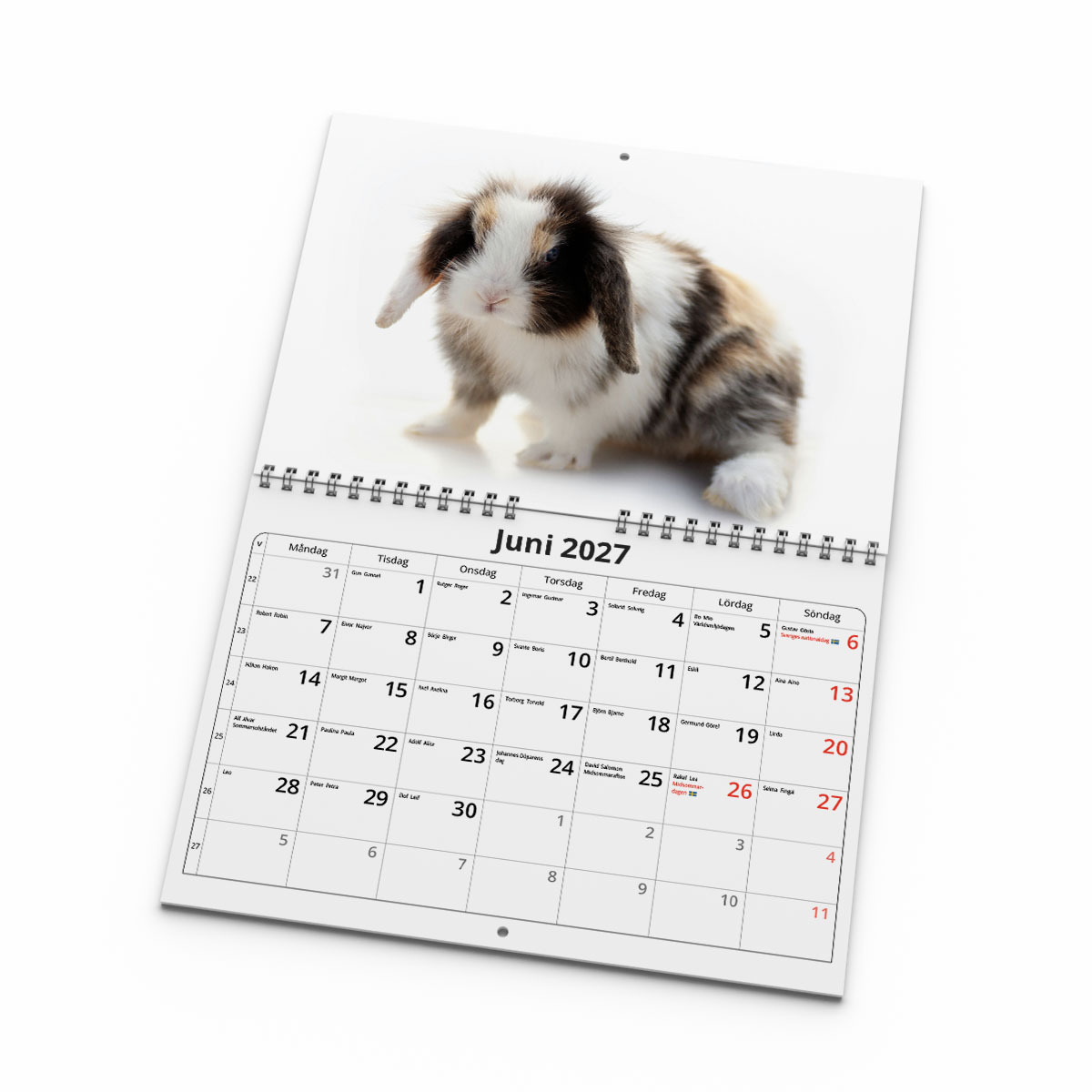 Väggkalender Kaniner Small 2027 uppslag