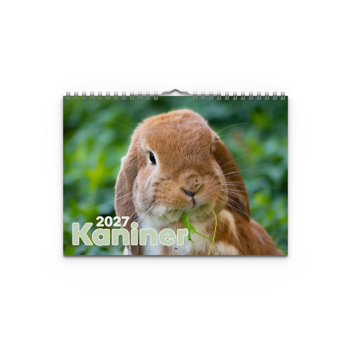 Väggkalender Kaniner Small 2027