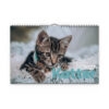 Väggkalender Katter Medium 2027