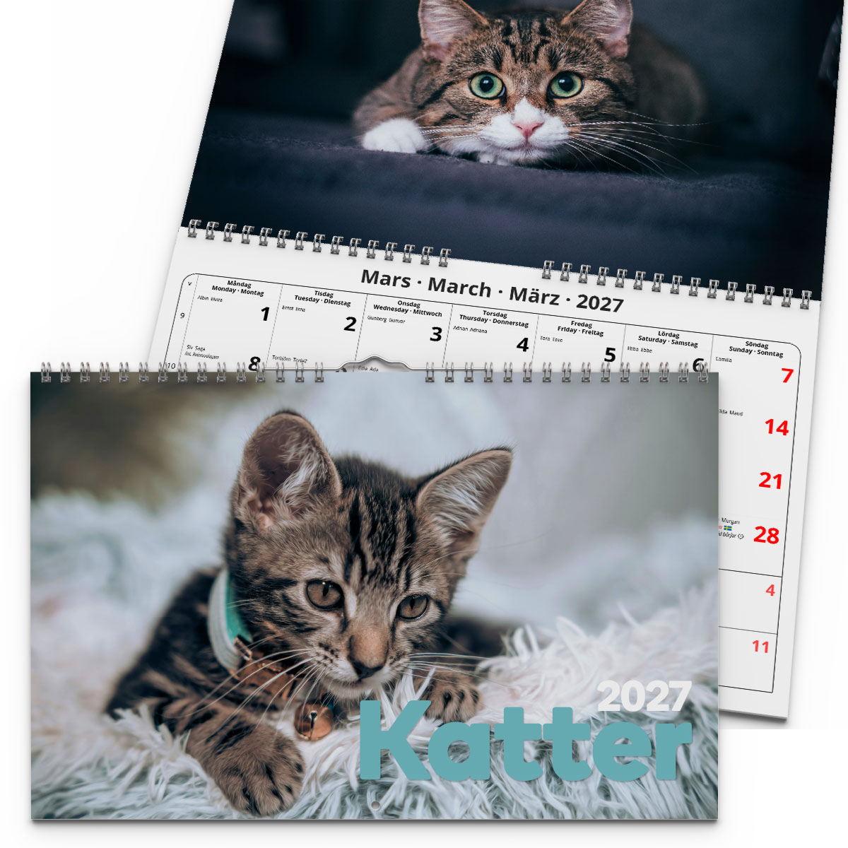 Väggkalender Katter Medium 2027 2