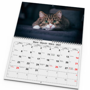 Väggkalender Katter Medium 2027 uppslag