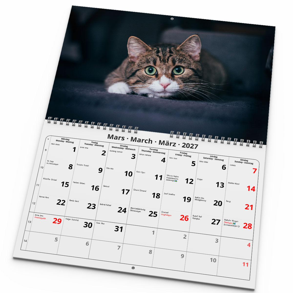 Väggkalender Katter Medium 2027 uppslag
