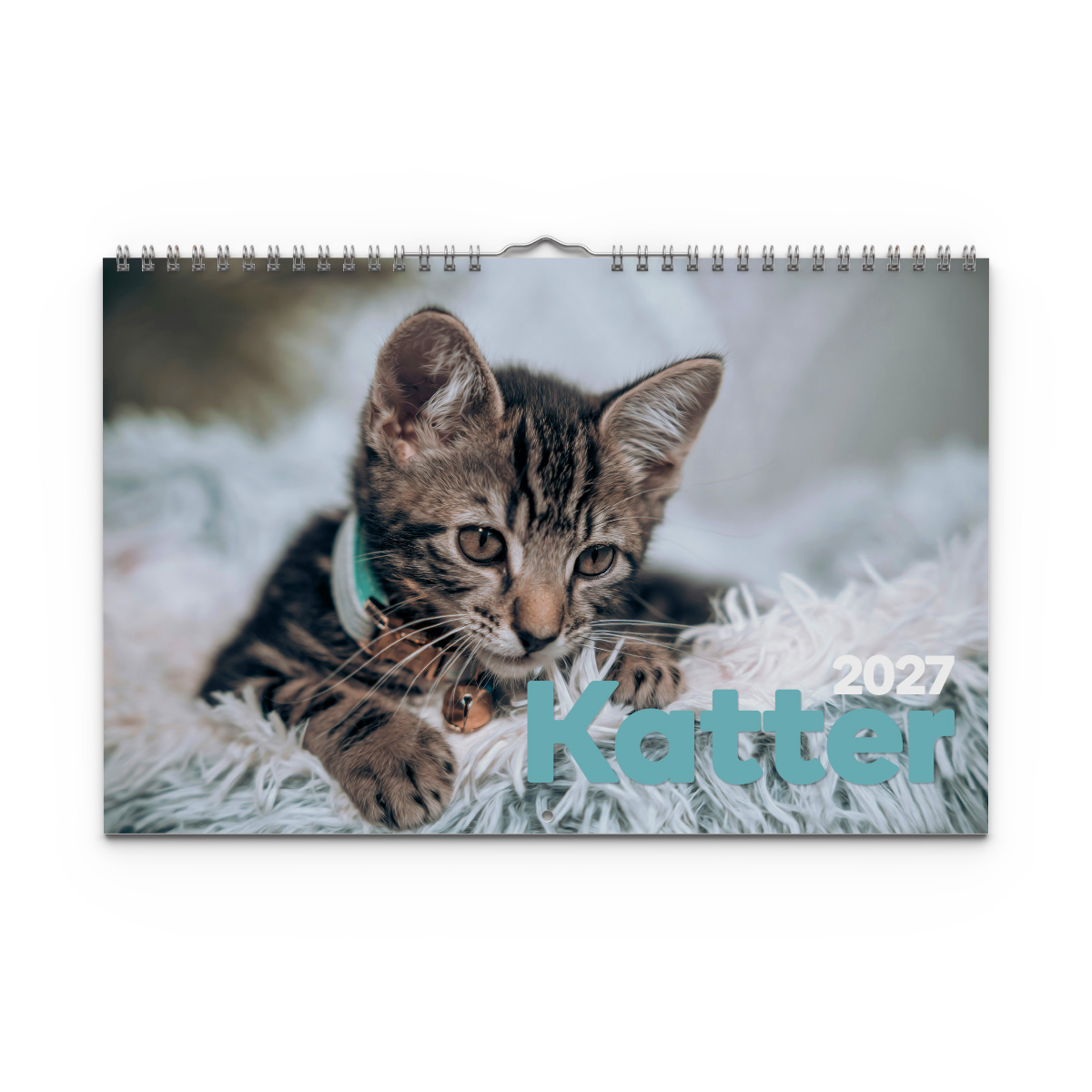 Väggkalender Katter Medium 2027