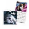 Väggkalender Katter Mini 2027 2