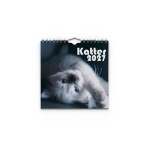 Väggkalender Katter Mini 2027