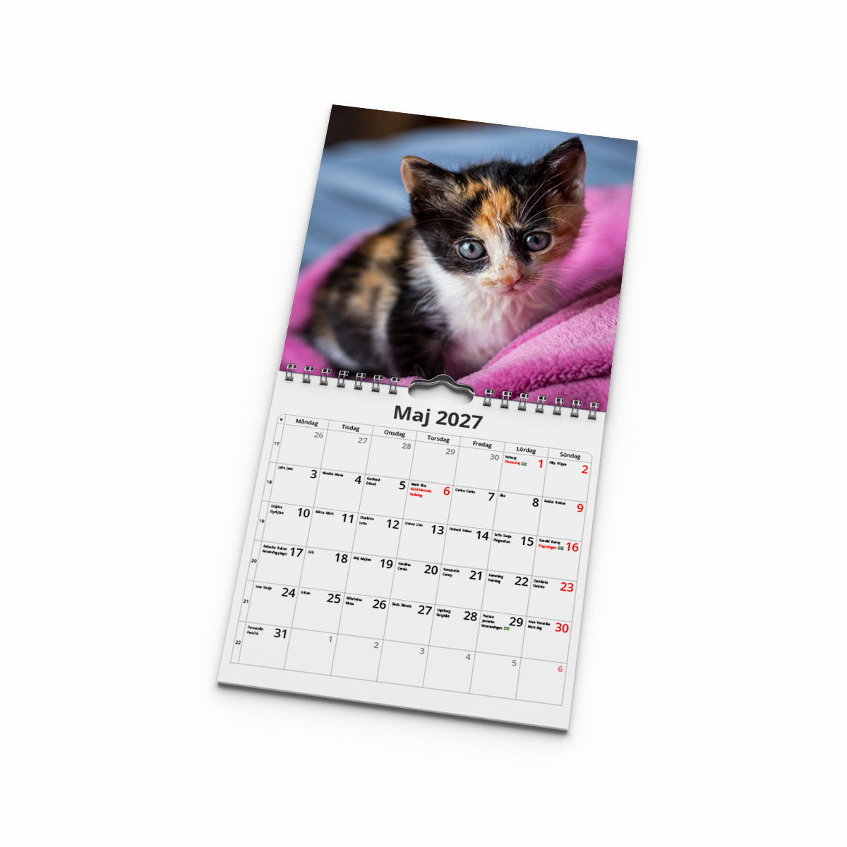 Väggkalender Katter Mini 2027 uppslag