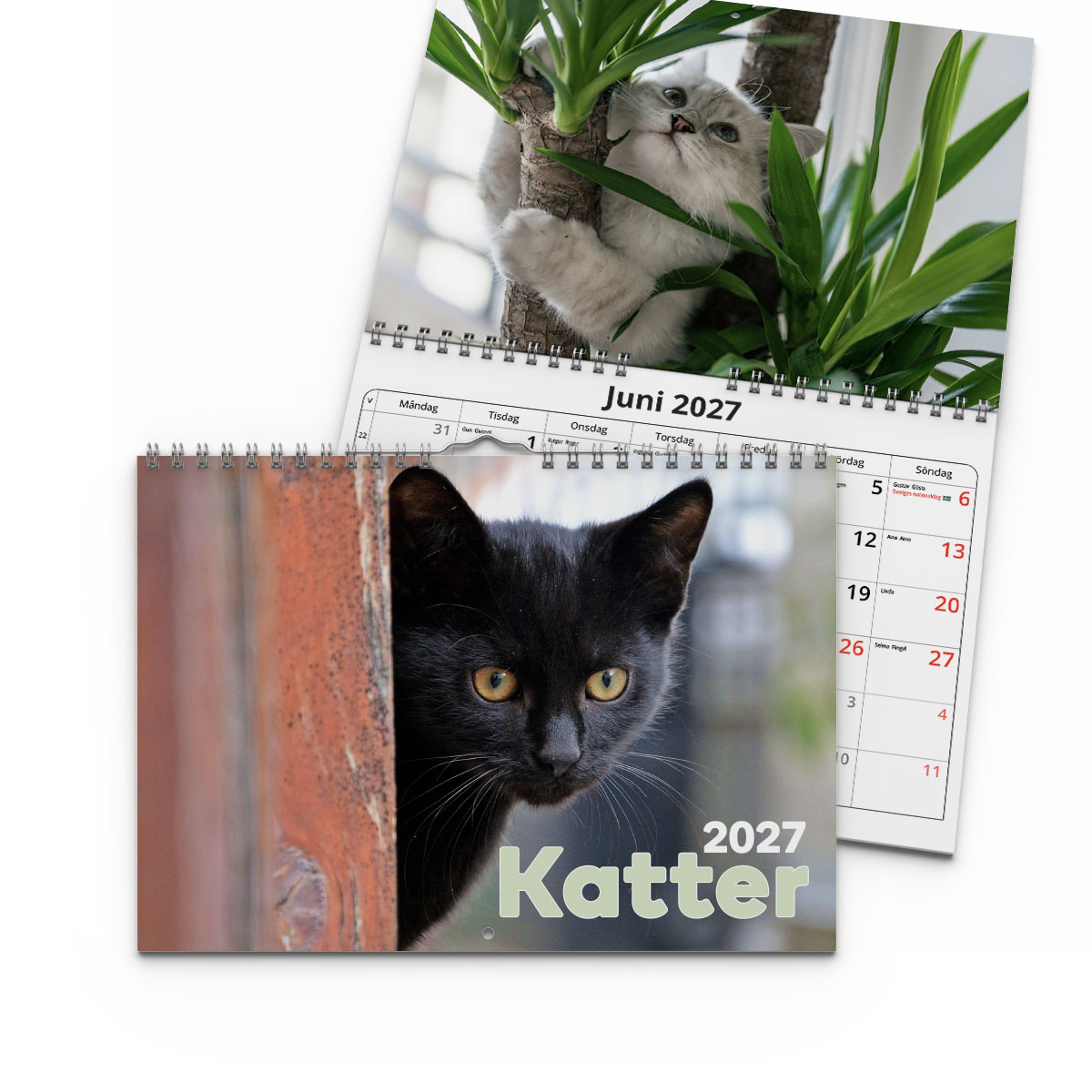 Väggkalender Katter Small 2027 2