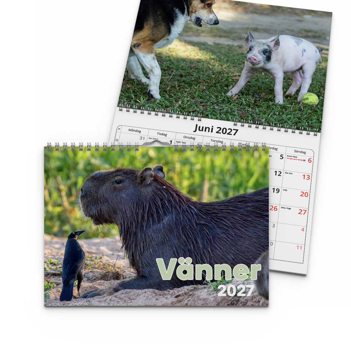 Väggkalender Vänner 2027 2