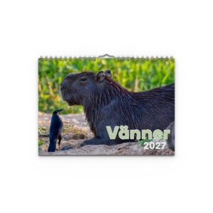 Väggkalender Vänner 2027