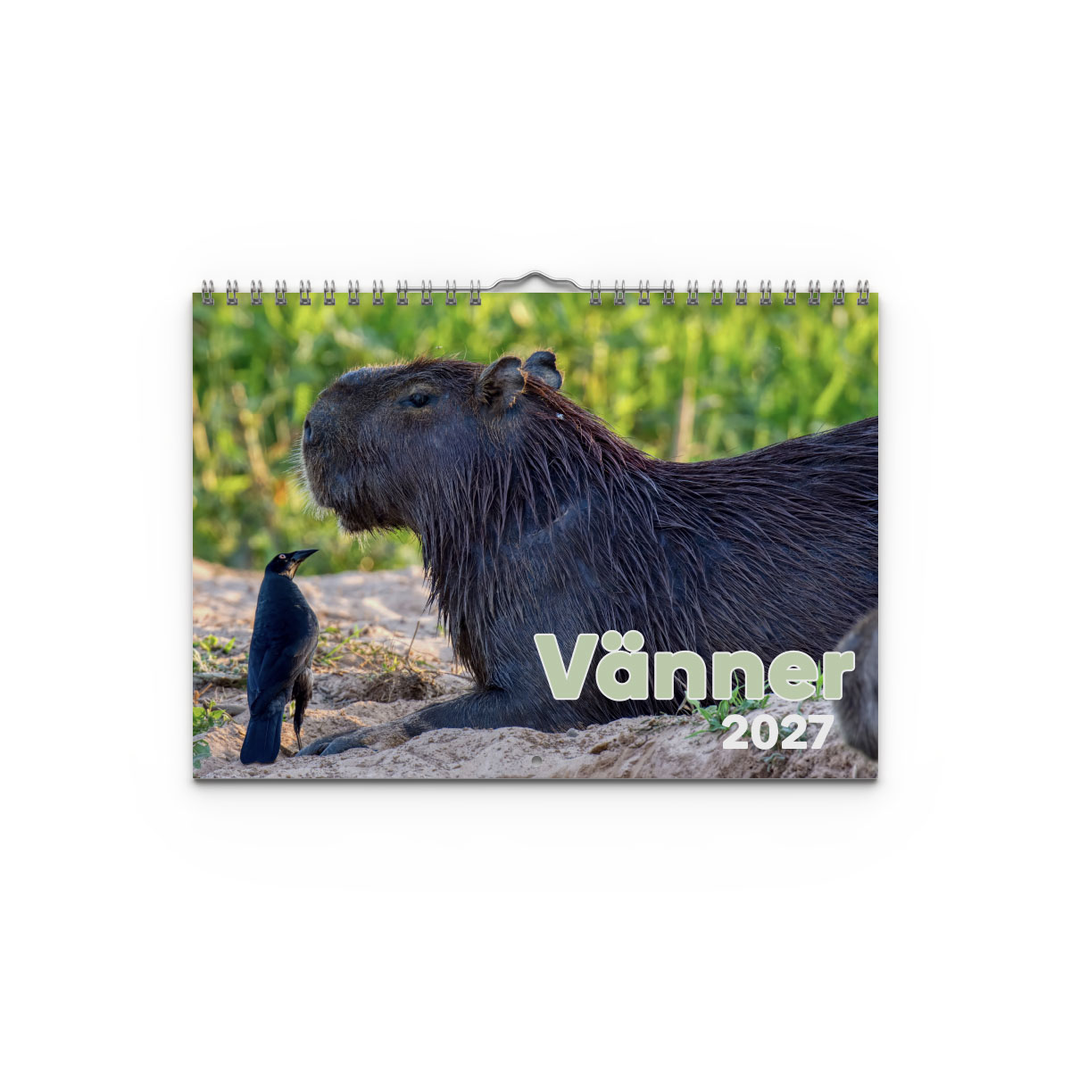 Väggkalender Vänner 2027
