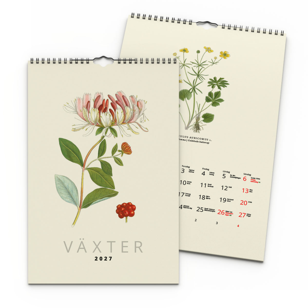 Väggkalender Växter 2027 2