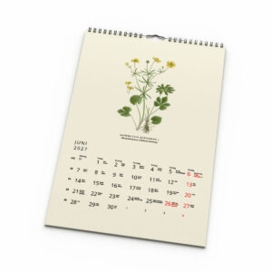 Väggkalender Växter 2027 uppslag