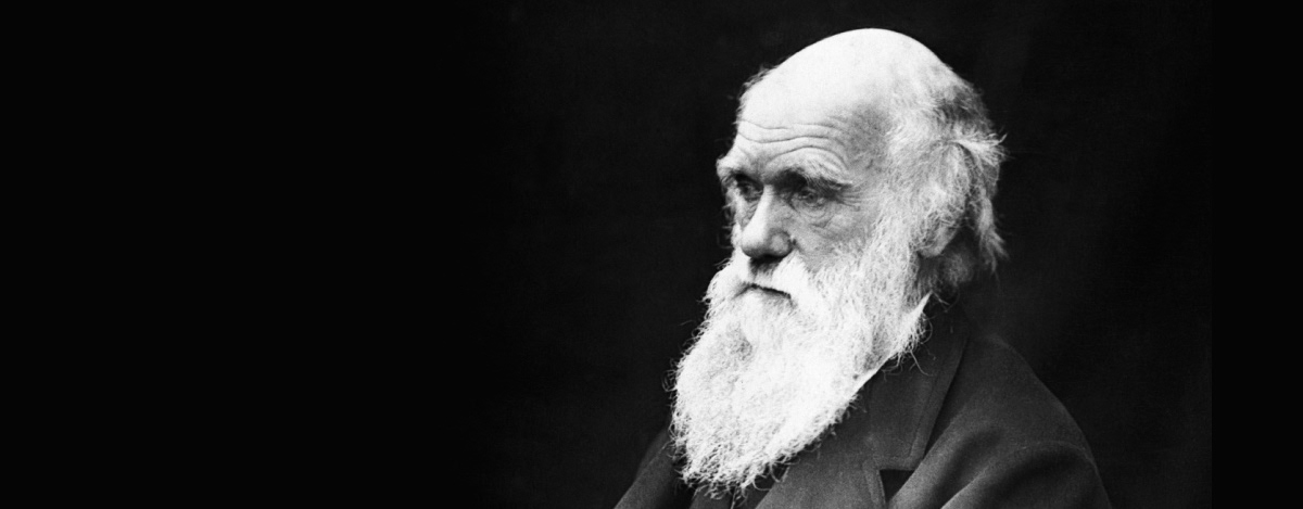 Porträtt av Charles Darwin.